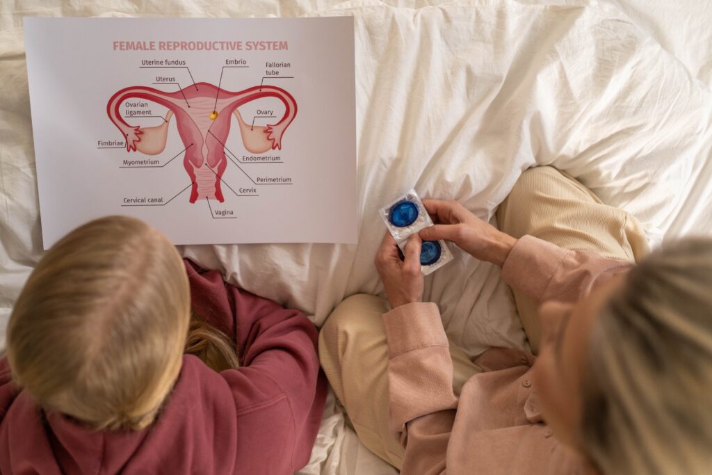 top-view of kid learning about female reproductive system
