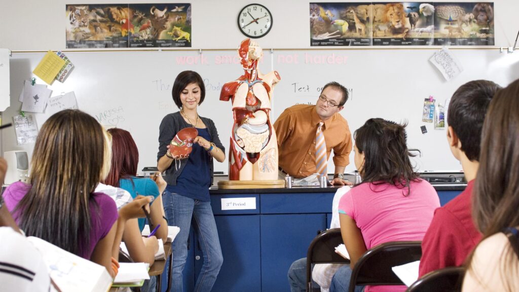 teachers teaching with anatomy mannequin