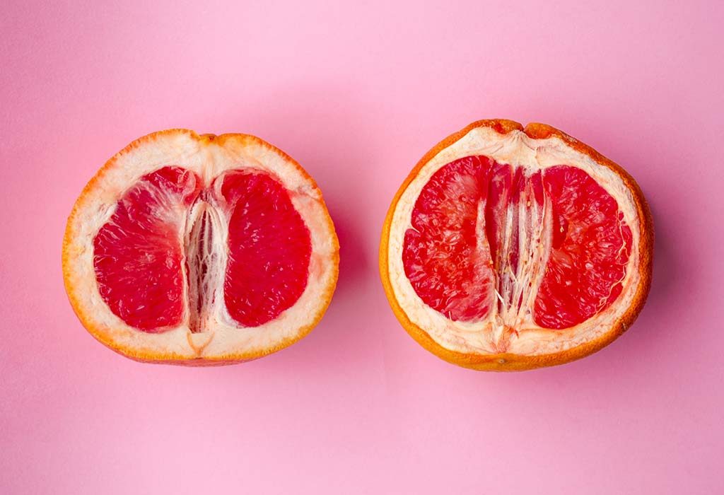 different vulvas