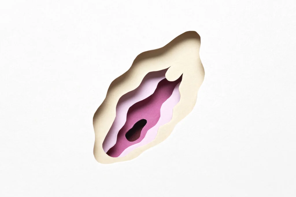 woman's vagina