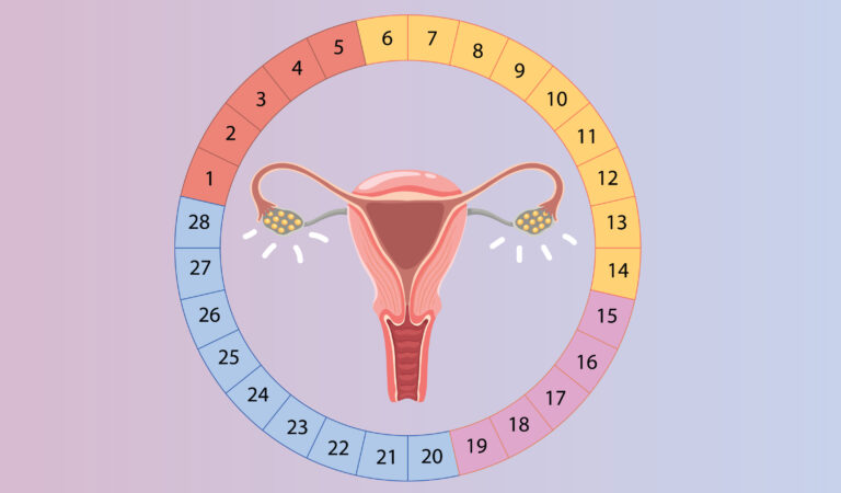 ภาวะไม่ตกไข่