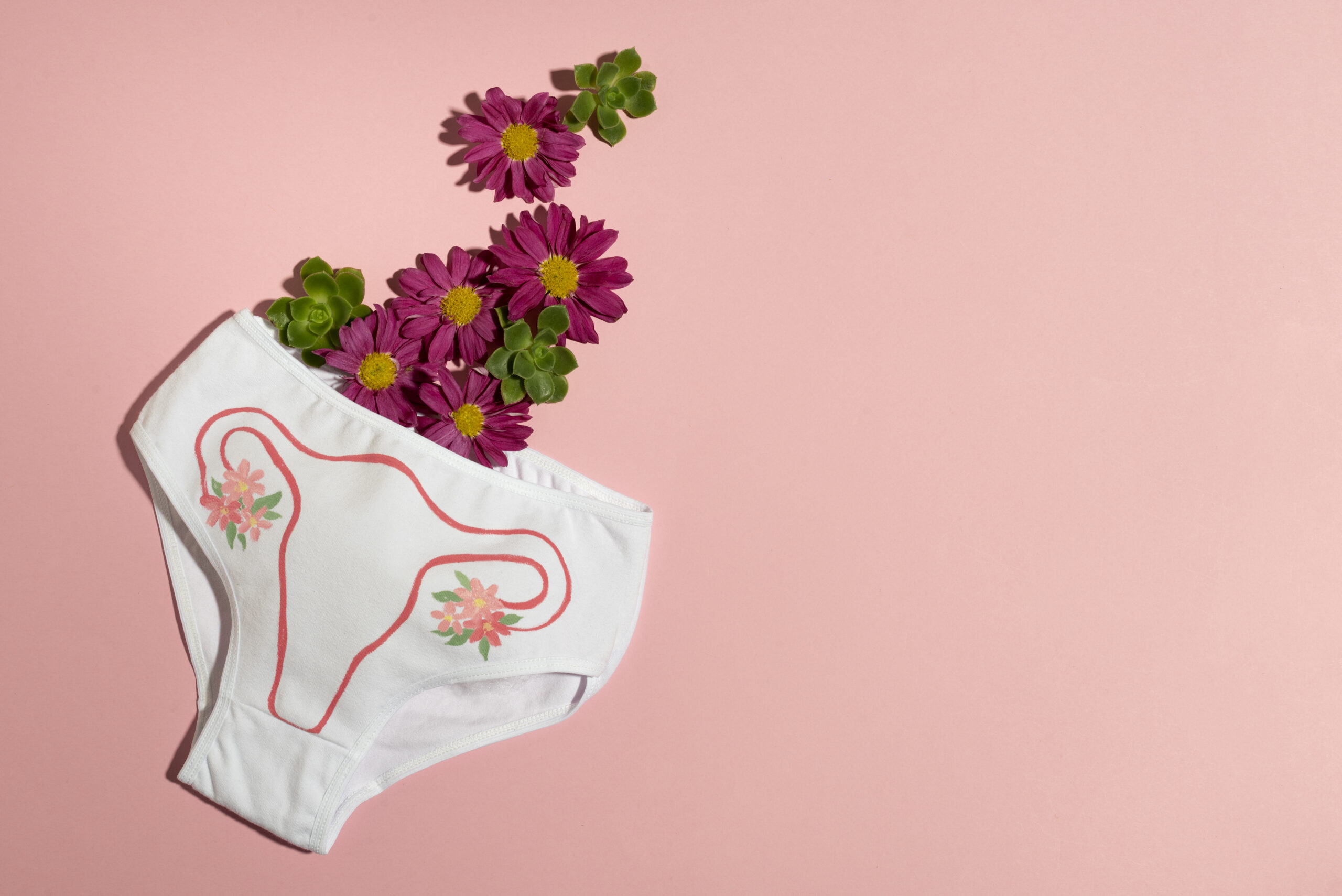 Period Panties
