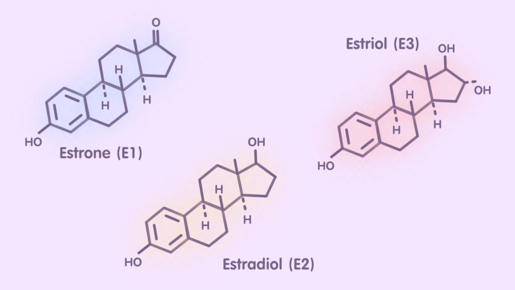 different types of estrogen